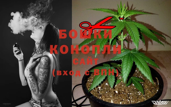 spice Новокубанск