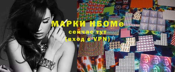 амф Новозыбков