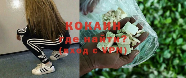 амф Новозыбков