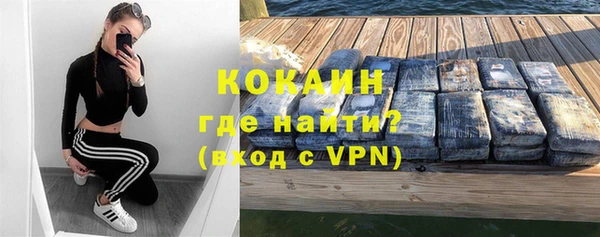 амф Новозыбков