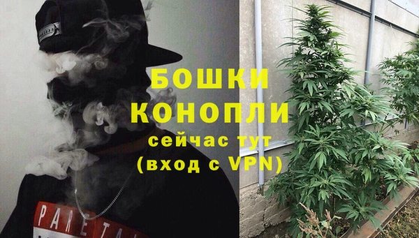 амф Новозыбков