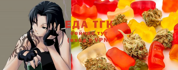 амф Новозыбков