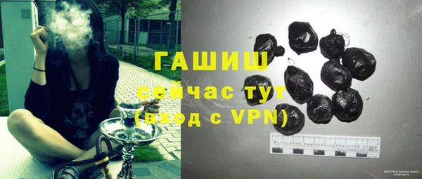 амф Новозыбков