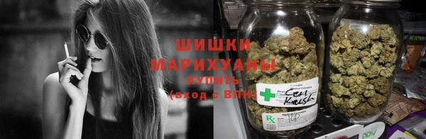 трава Новодвинск
