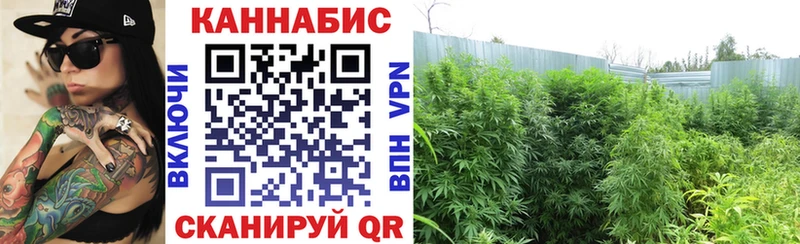 Каннабис ГИДРОПОН  Семикаракорск 